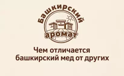 Башкирский мёд от других сортов — особенности натурального продукта от производителя