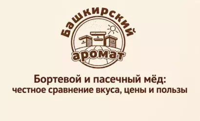 Бортевой и пасечный мёд — сравнение вкуса, цены и пользы