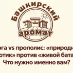 Перга и прополис: сравнение продуктов пчеловодства — «Башкирский аромат»